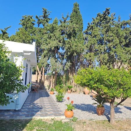 Villa Deja Blue à Archangelos  Extérieur photo