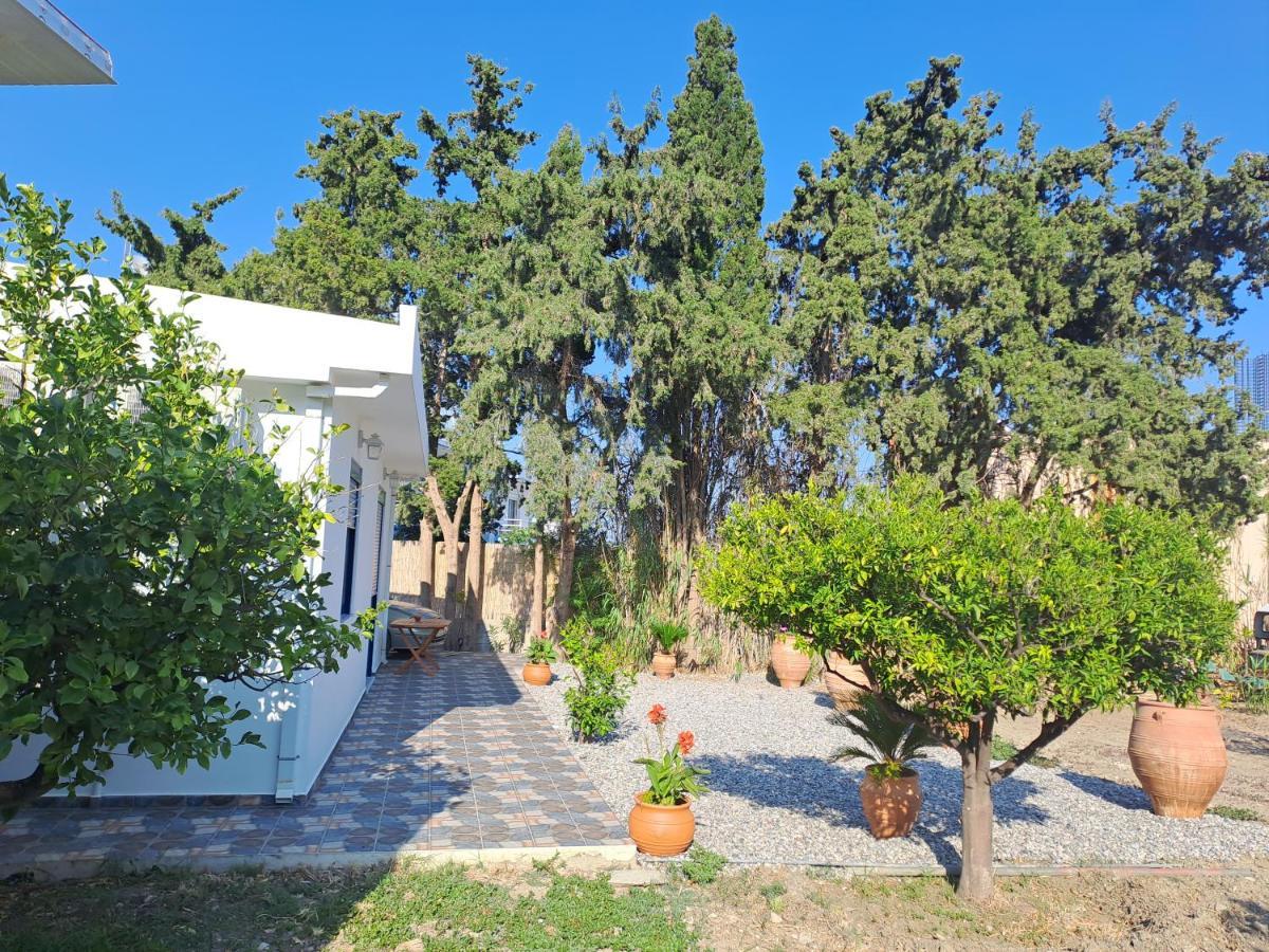 Villa Deja Blue à Archangelos  Extérieur photo